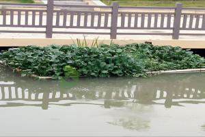 安徽芜湖市弋江区河道